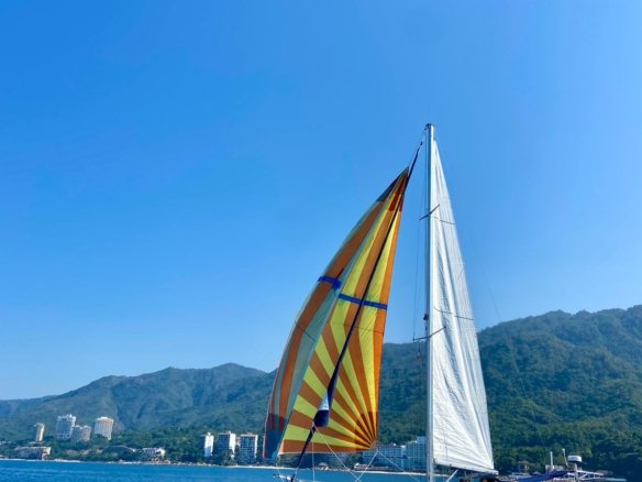 veleros en puerto vallarta -13