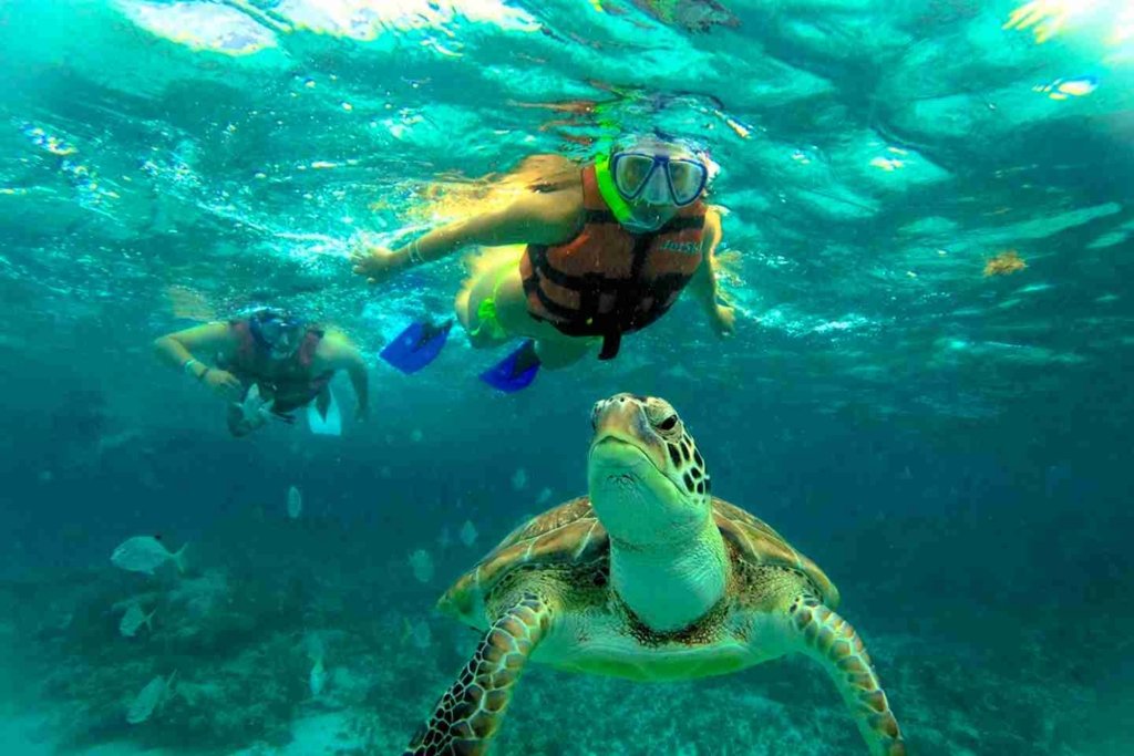 Nada con tortugas en Playa Tortugas en un yate