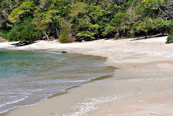 Siente la calma de la Playa Chachacual en un yate