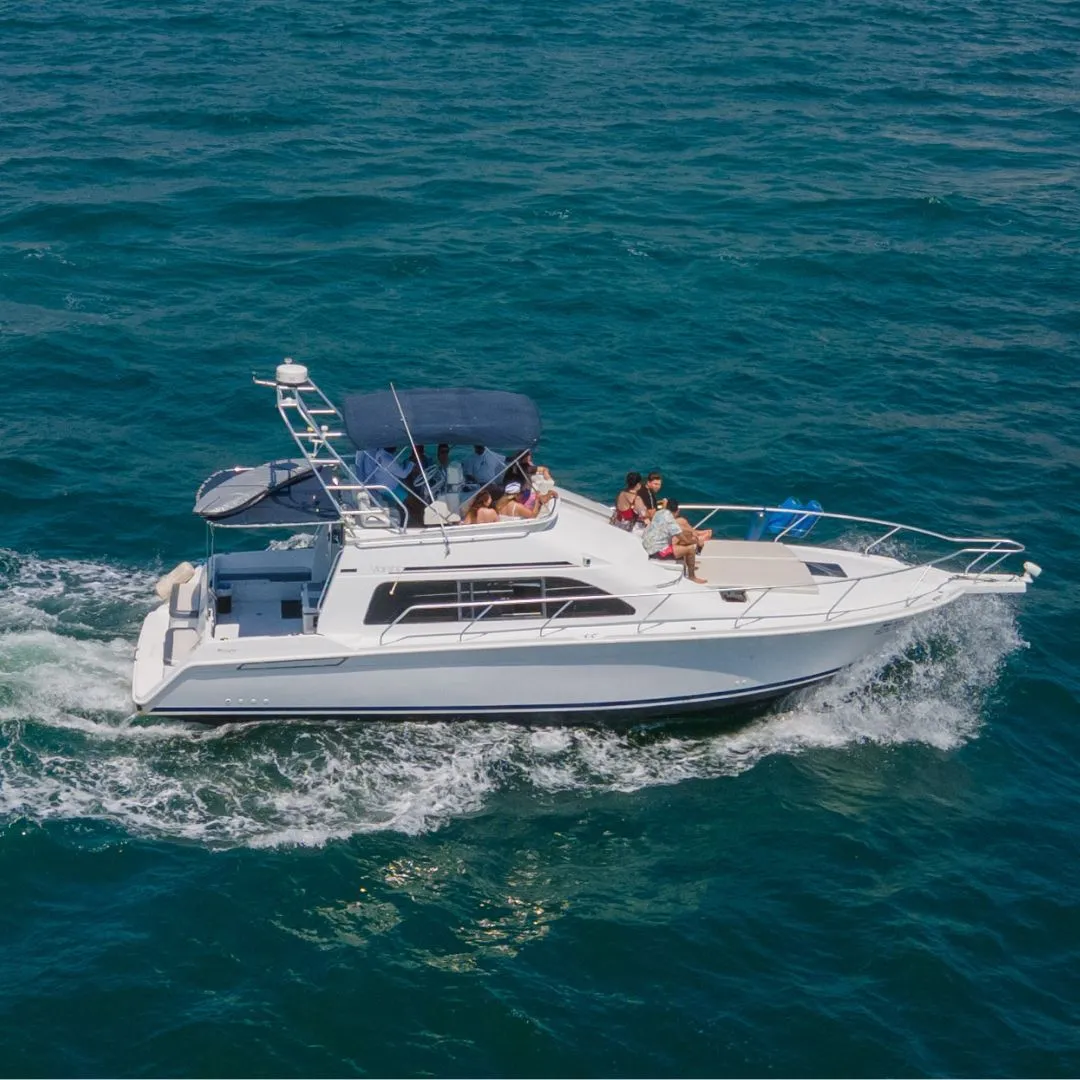 Renta yate puerto vallarta