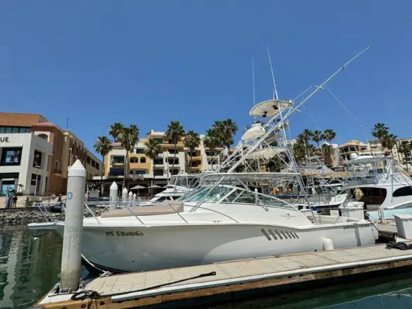 Fotografía de renta de barco para pesca en Los Cabos a bordo de Renta de Barco para Pesca en Los Cabos — El Diablo Albemarle - Vista 5