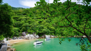 Playa Colomitos Puerto Vallarta