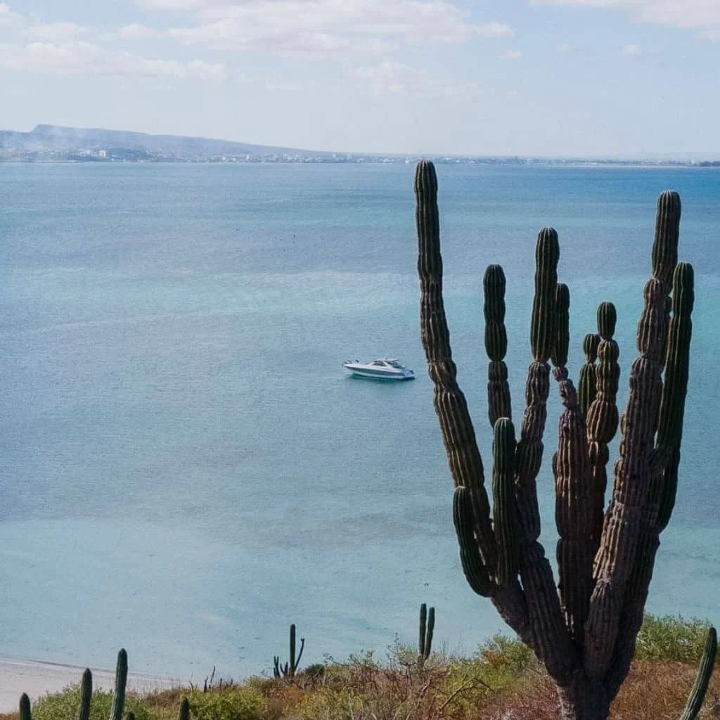 Renta-de-Yates-de-Lujo-en-La-Paz-Sunseeker-50ft-Luxury-Yacht-Rental-in-La-Paz-Sunseeker-50ft4