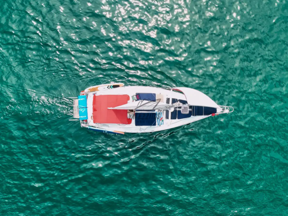 Veleros Puerto Vallarta | Velero Angel 40ft - Yatezzitos - 018