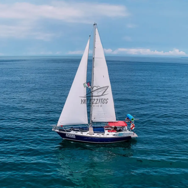 Veleros Puerto Vallarta | Velero Angel 40ft - Yatezzitos - 019