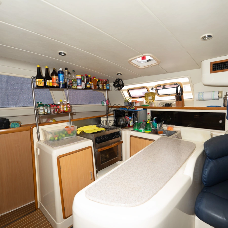 Catamaran Tour Puerto Vallarta – Michelle 48″ 0014