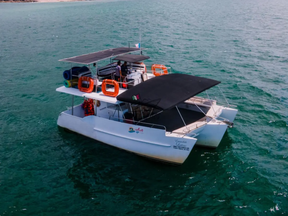 Renta de catamarán en Puerto Vallarta desde $22,800 - 006
