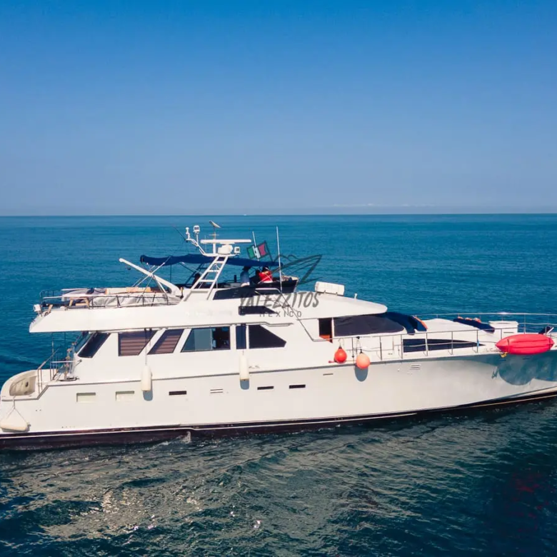 Tours en Puerto Vallarta - A New Begginning - 0022