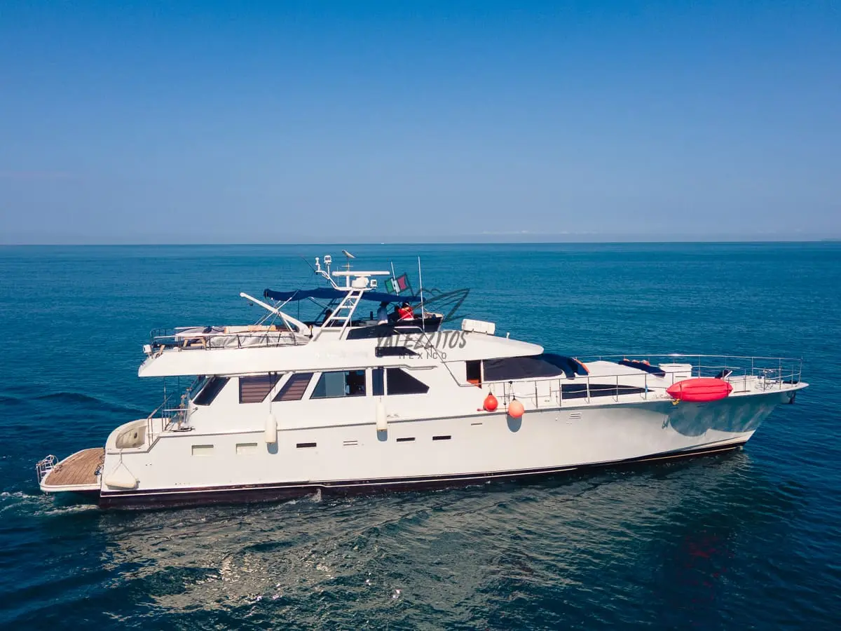 Tours en Puerto Vallarta - A New Begginning - 0022