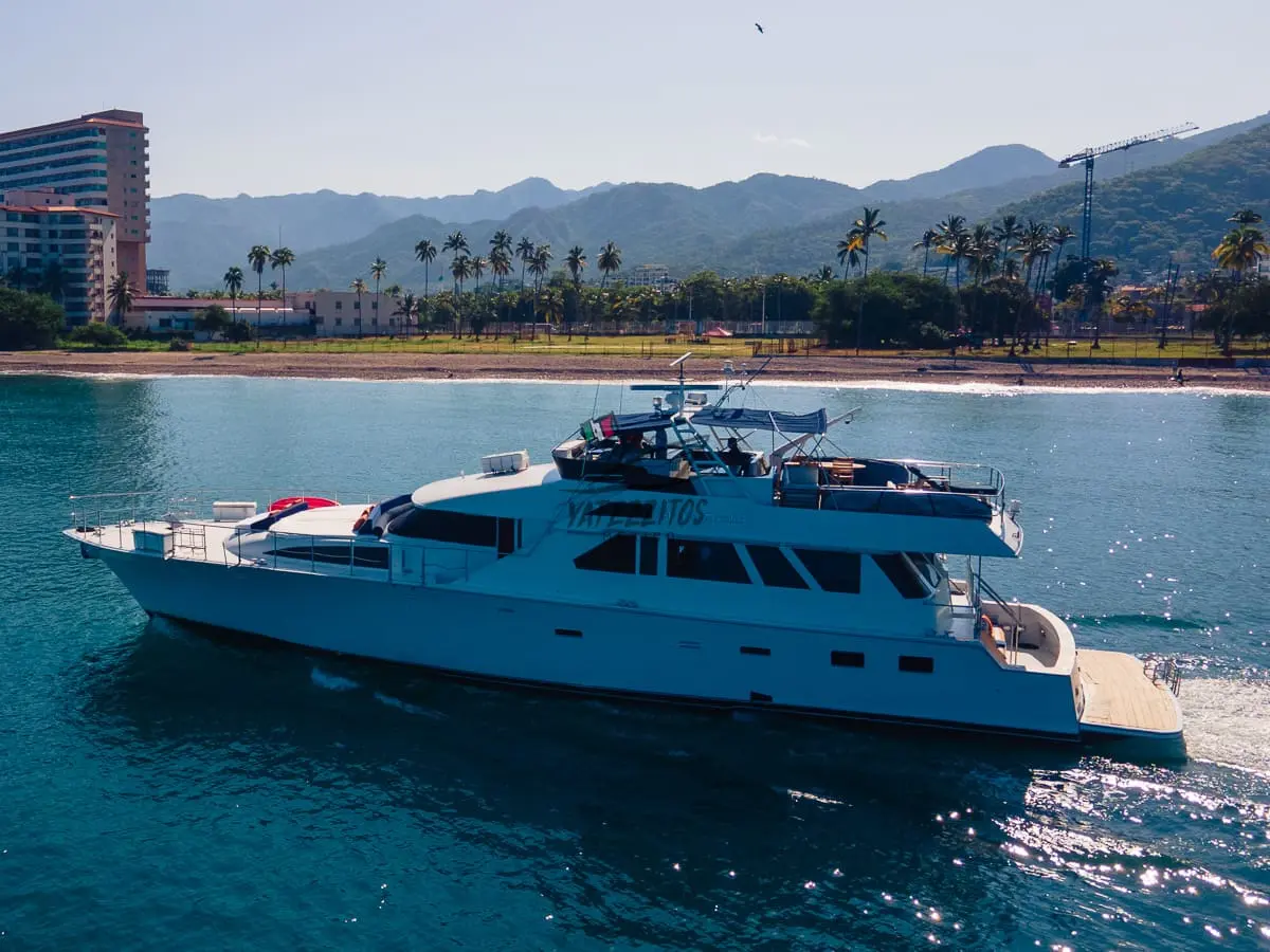 Tours en Puerto Vallarta - A New Begginning - 0028