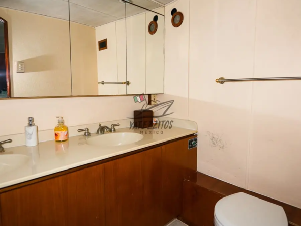 Tours en Puerto Vallarta - A New Begginning - 0020