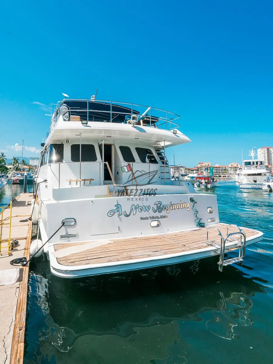 Tours en Puerto Vallarta - A New Begginning - 0004