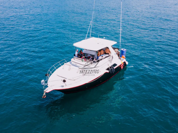 Tour a Puerto Vallarta – Yate Calypso Cruiser 43″ 005
