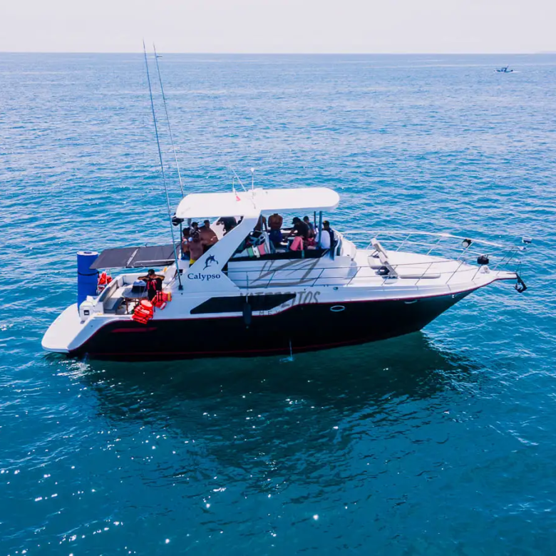 Tour a Puerto Vallarta – Yate Calypso Cruiser 43″ 013