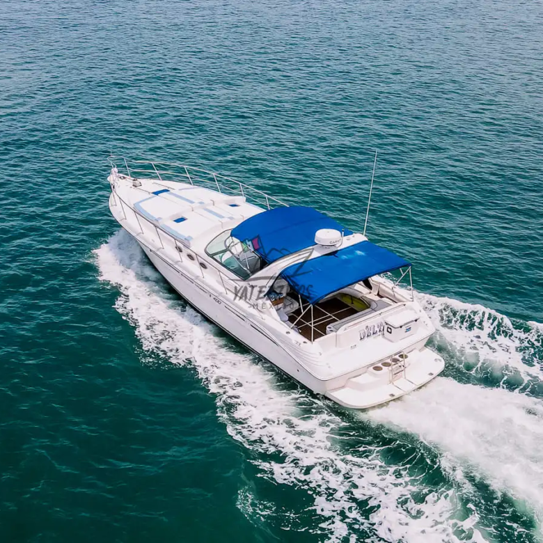 Boat Rental Puerto Vallarta – Delta Sea Ray 42″ 007