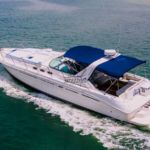 Boat Rental Puerto Vallarta – Delta Sea Ray 42″ 021