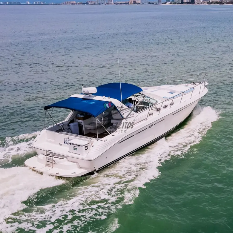 Boat Rental Puerto Vallarta – Delta Sea Ray 42″ 019
