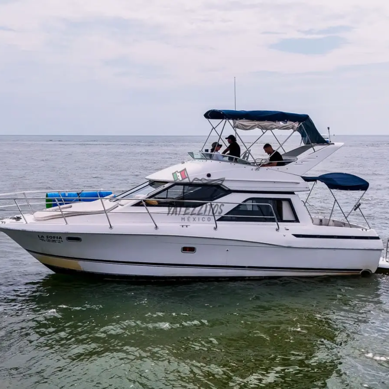 Renta yates Vallarta: Yate Sofía con itinerario completo - 017