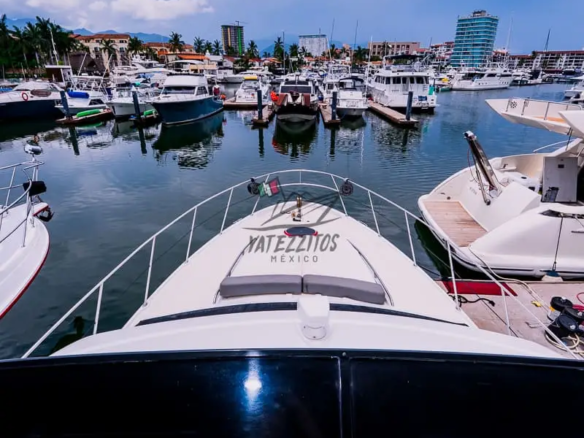 Adventures Puerto Vallarta – Yate Tamygo Maxum 46″ 003