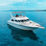 Private Boat Tour Puerto Vallarta – Why Not Sea Ray 48″ 021
