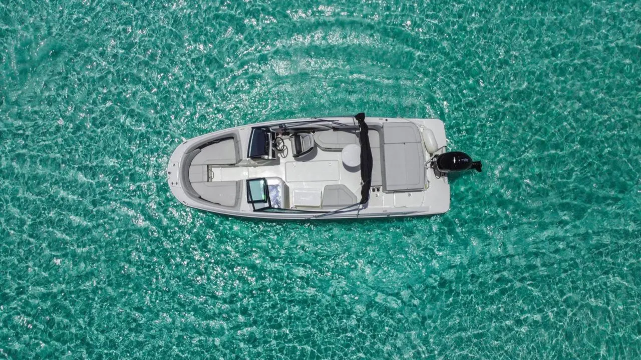 WhatsApp-Image-2026-01-28-at-1.35.42-PM-_2_