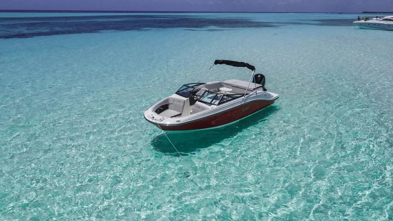 WhatsApp-Image-2026-01-28-at-1.35.42-PM