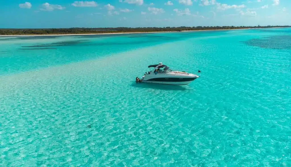 WhatsApp-Image-2026-01-28-at-2.00.16-PM-_1_