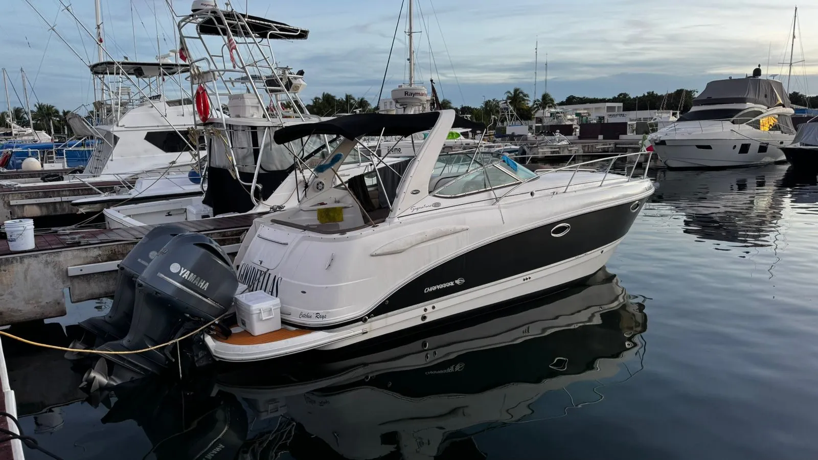 WhatsApp-Image-2026-01-28-at-2.00.16-PM-_4_