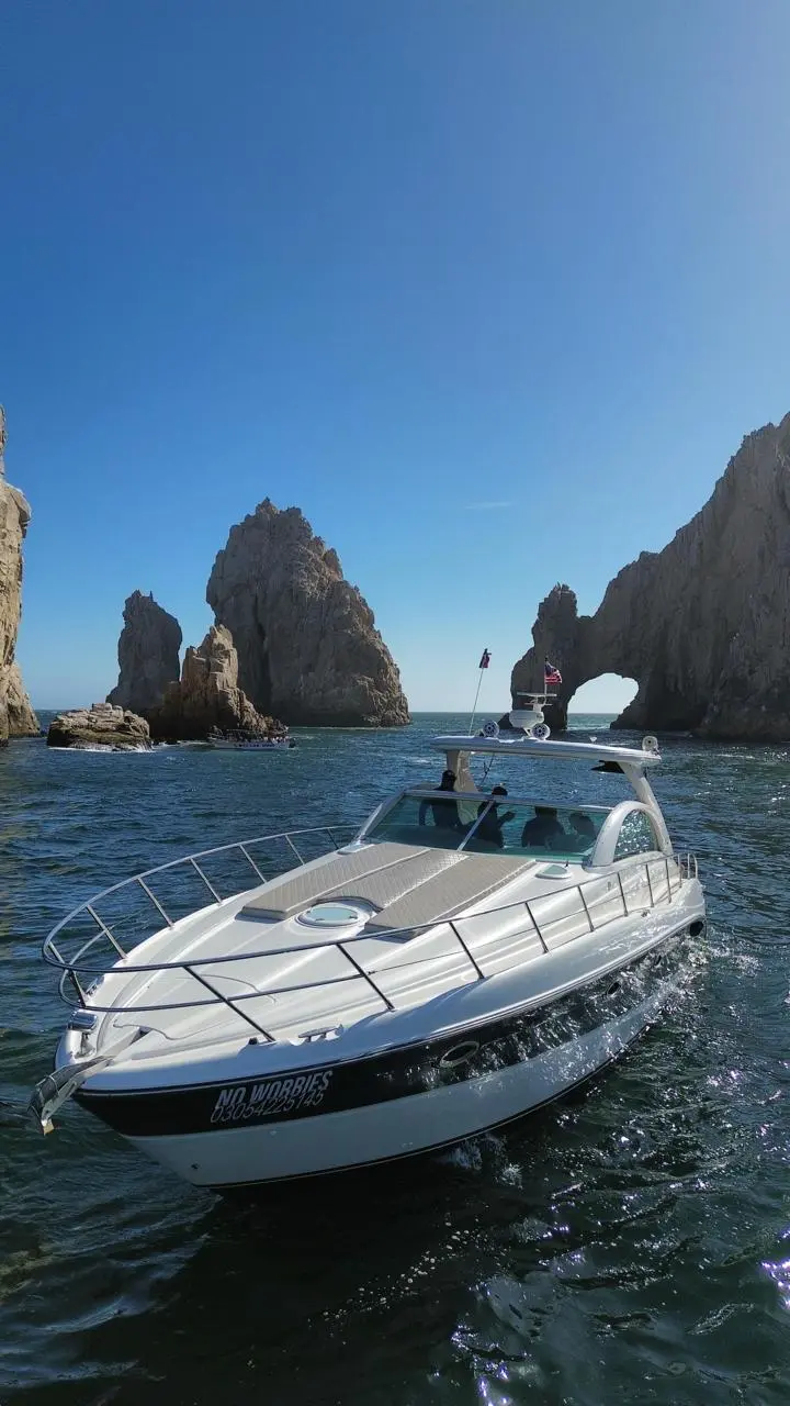 WhatsApp-Image-2026-02-02-at-1.35.57-PM-_1_