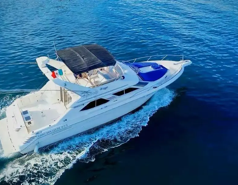 Fotografía de paseo en barco en Los Cabos a bordo de Paseo en Barco en Los Cabos a Bordo del Meco Sea Ray 44ft - Vista 6