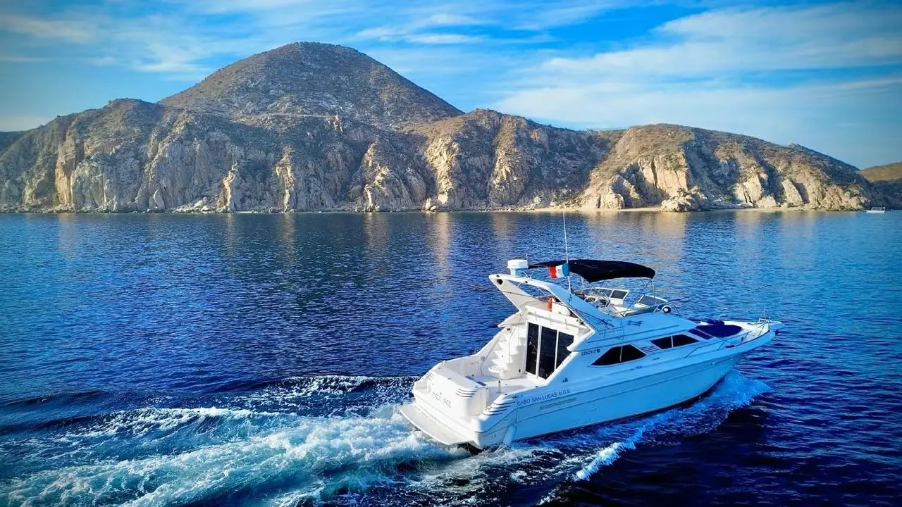 WhatsApp-Image-2026-02-02-at-1.36.28-PM-_1_