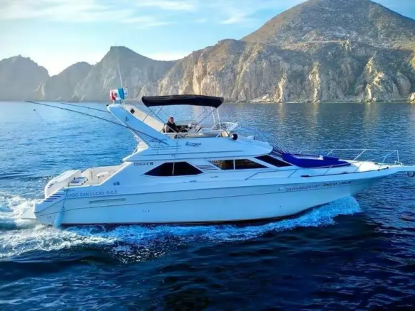 Fotografía de paseo en barco en Los Cabos a bordo de Paseo en Barco en Los Cabos a Bordo del Meco Sea Ray 44ft - Vista 3