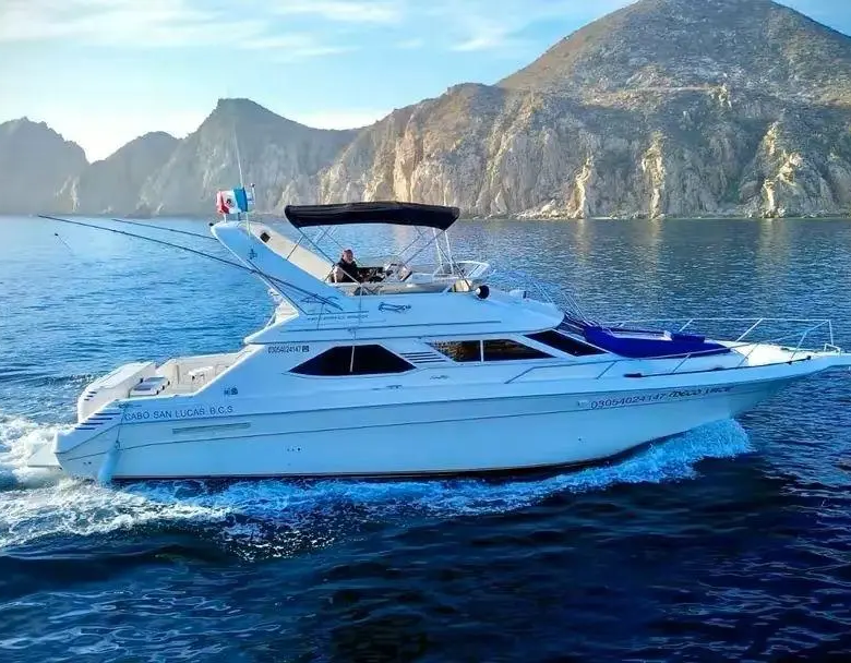 Fotografía de paseo en barco en Los Cabos a bordo de Paseo en Barco en Los Cabos a Bordo del Meco Sea Ray 44ft - Vista 3