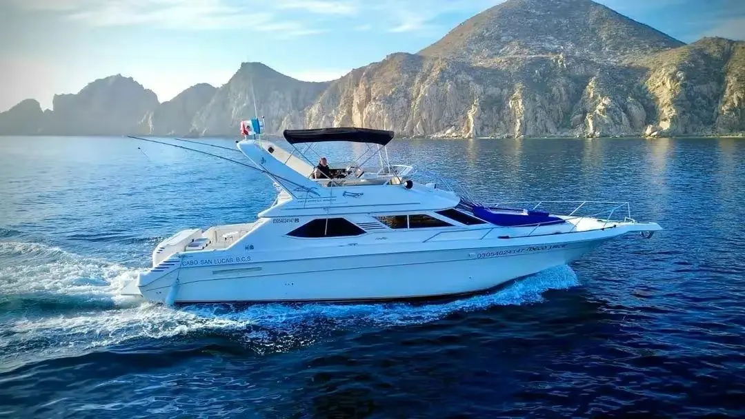 WhatsApp-Image-2026-02-02-at-1.36.28-PM-_2_