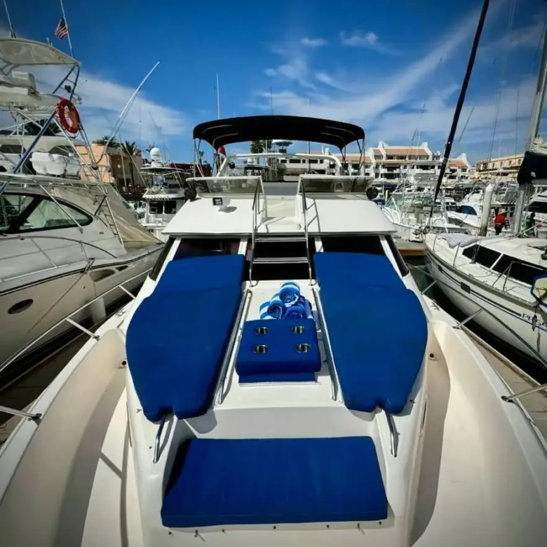 Fotografía de paseo en barco en Los Cabos a bordo de Paseo en Barco en Los Cabos a Bordo del Meco Sea Ray 44ft - Vista 4