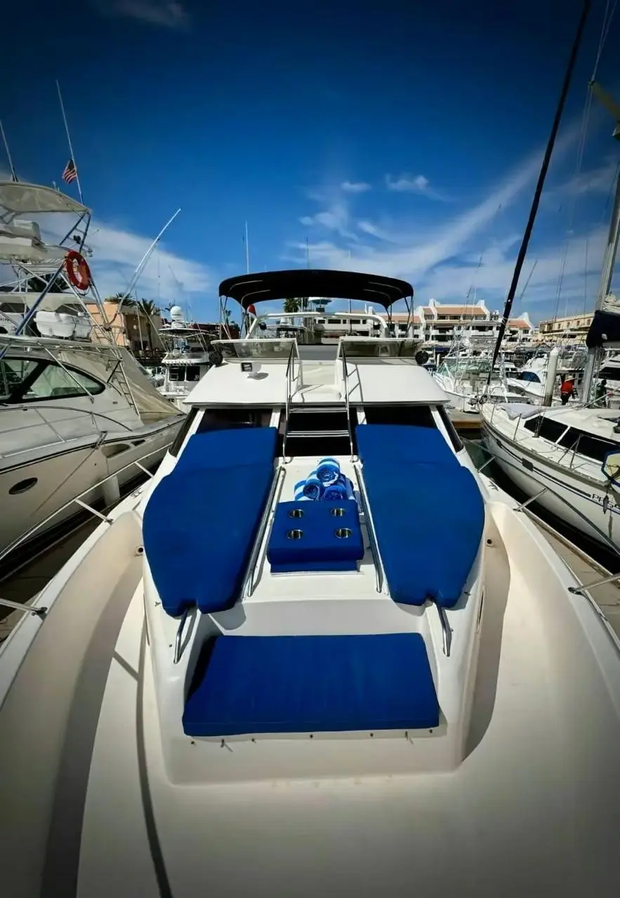 WhatsApp-Image-2026-02-02-at-1.36.28-PM-_3_