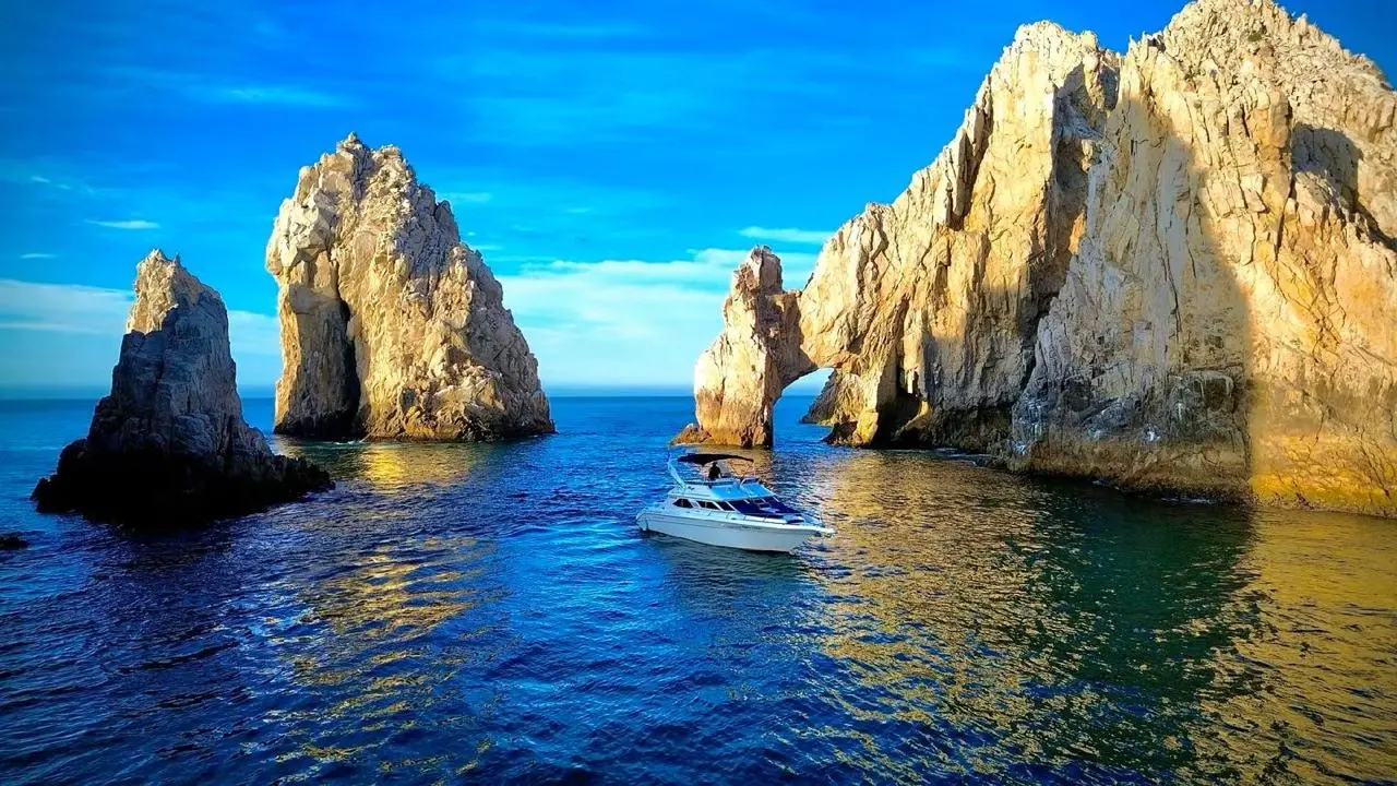 WhatsApp-Image-2026-02-02-at-1.36.28-PM-_4_