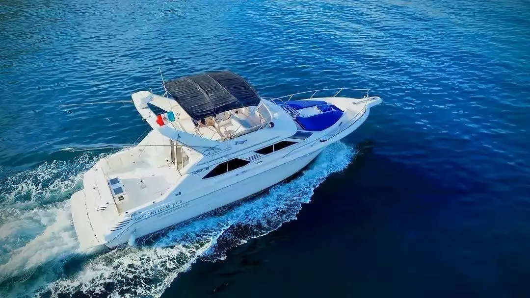 WhatsApp-Image-2026-02-02-at-1.36.28-PM