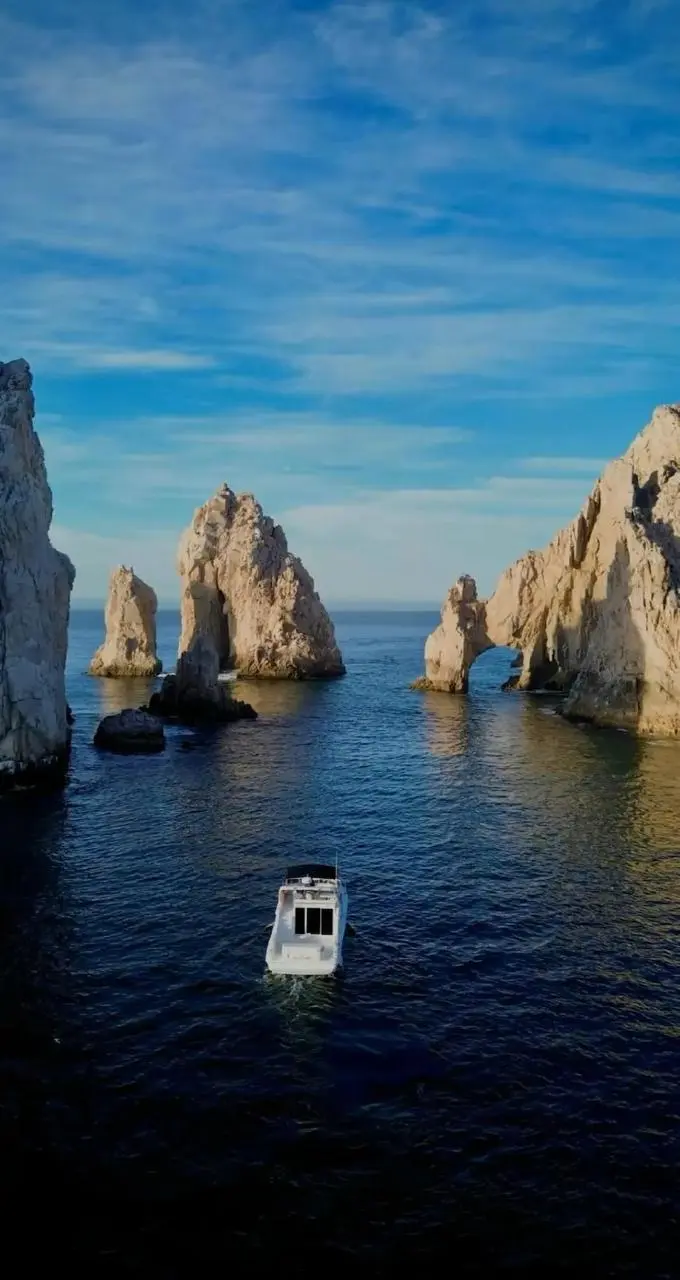 WhatsApp-Image-2026-02-02-at-1.36.29-PM-_2_