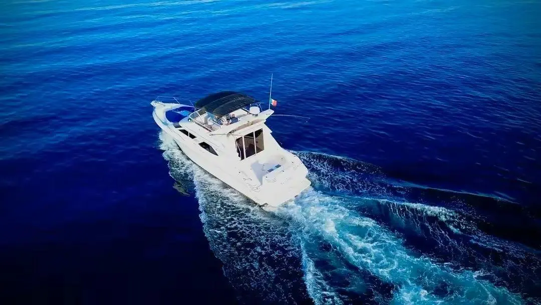 WhatsApp-Image-2026-02-02-at-1.36.29-PM-_3_