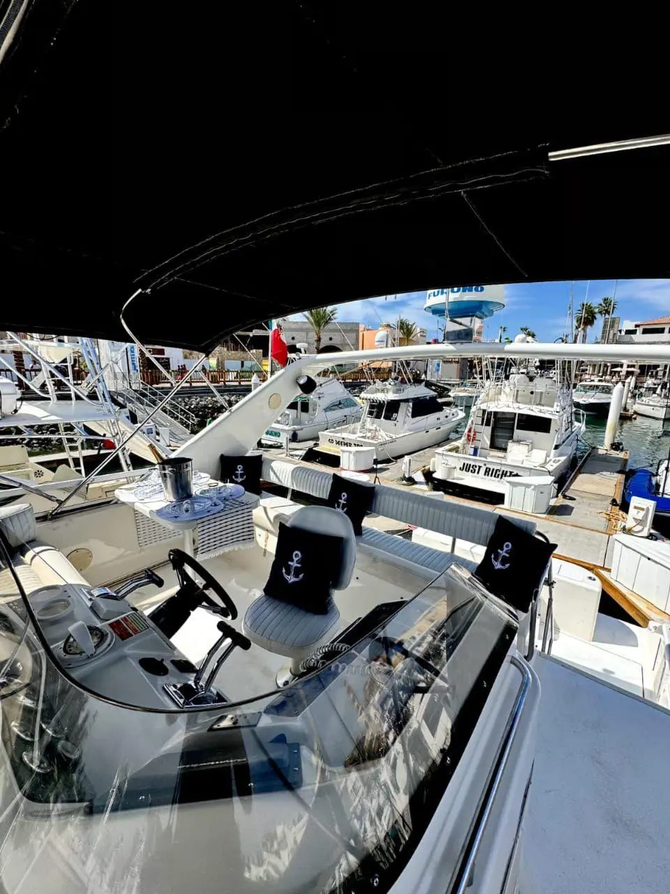 WhatsApp-Image-2026-02-02-at-1.36.29-PM-_7_