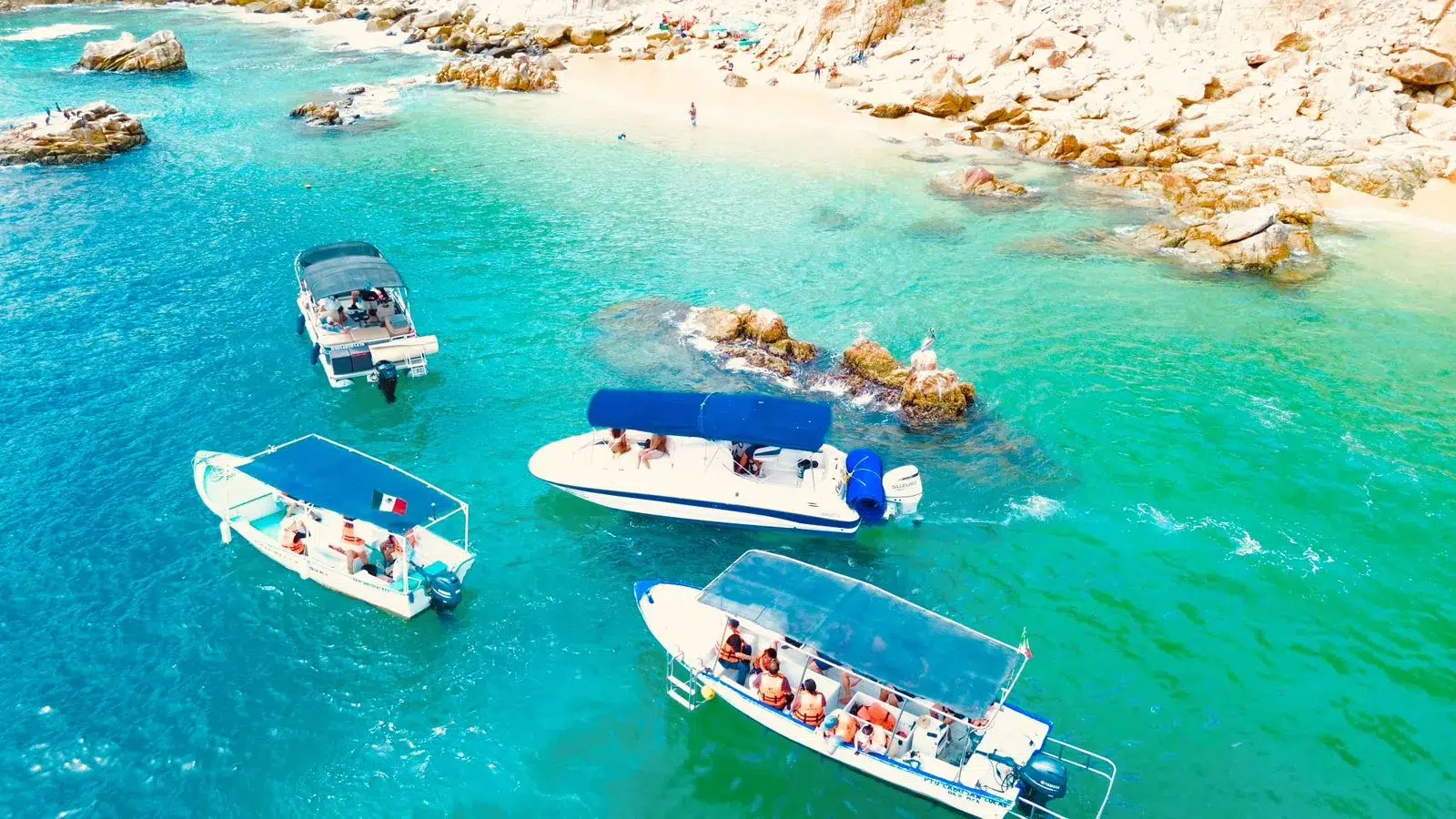 WhatsApp-Image-2026-02-02-at-12.40.00-PM-_1_