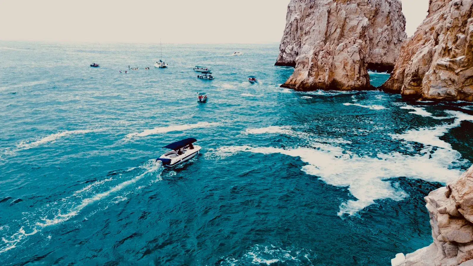 WhatsApp-Image-2026-02-02-at-12.40.00-PM-_2_