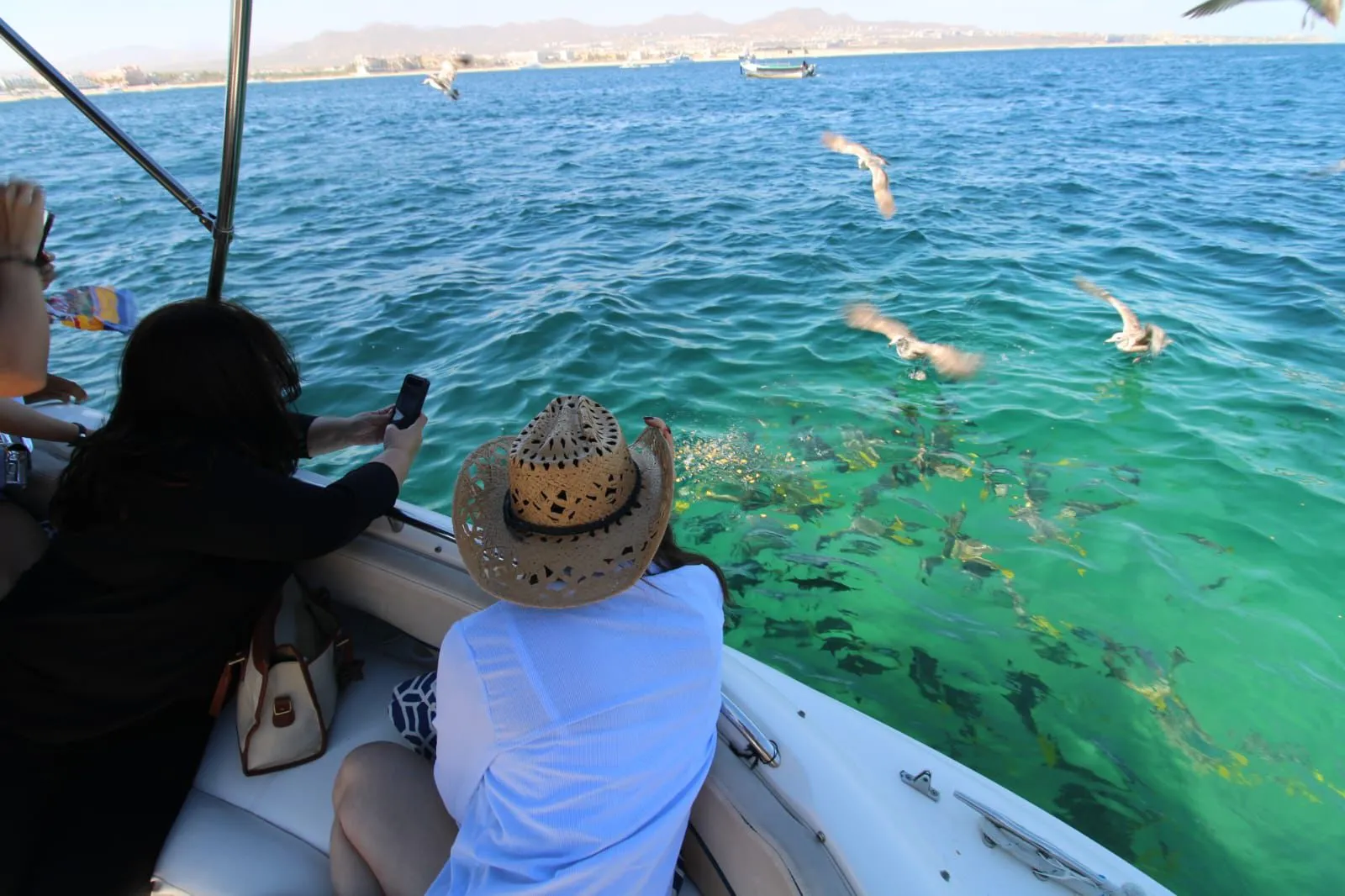 WhatsApp-Image-2026-02-02-at-12.40.00-PM-_4_