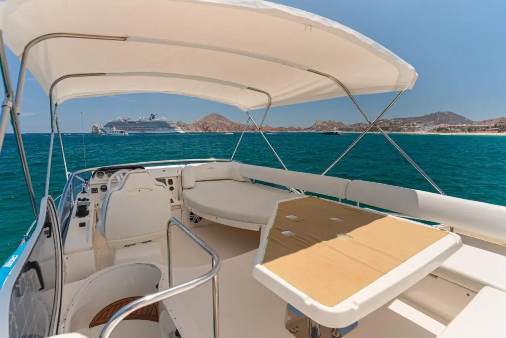 WhatsApp-Image-2026-02-03-at-8.53.20-AM