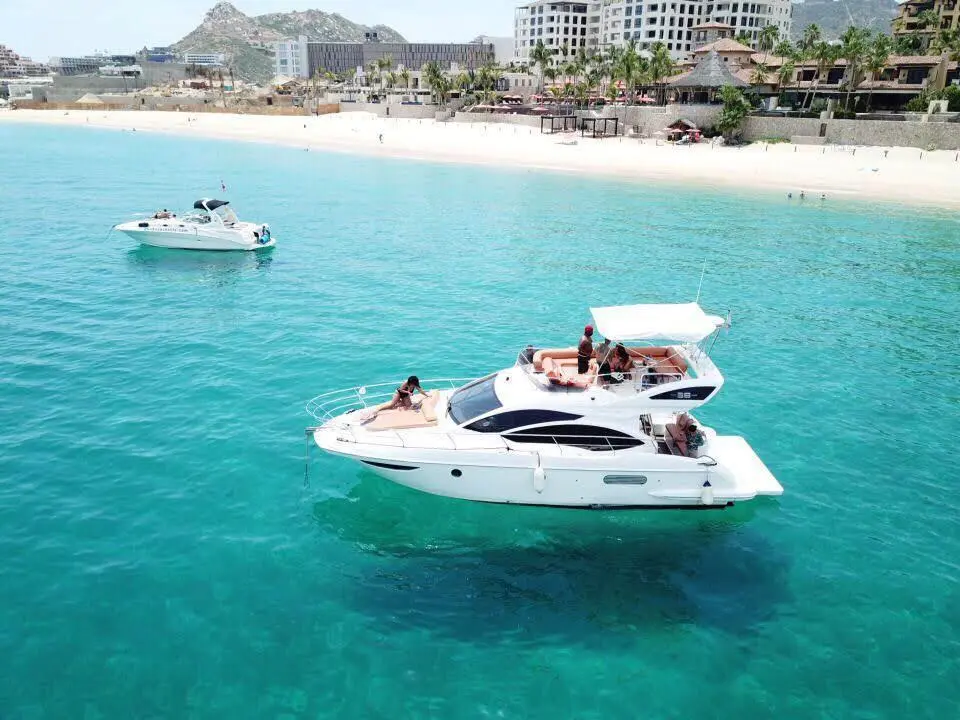 WhatsApp-Image-2026-02-03-at-9.10.44-AM-_1_