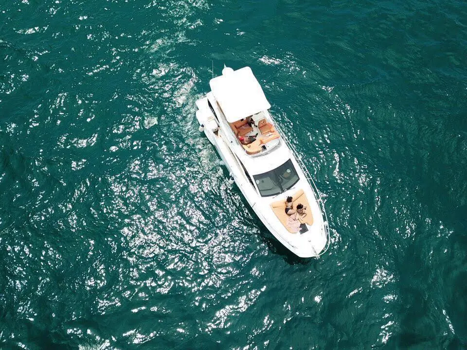 WhatsApp-Image-2026-02-03-at-9.10.44-AM