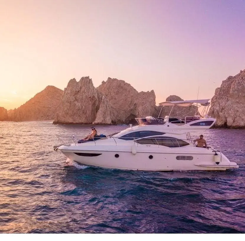 WhatsApp-Image-2026-02-03-at-9.10.45-AM