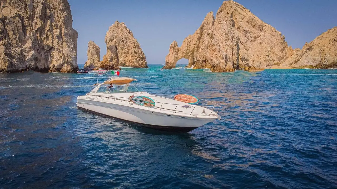 WhatsApp-Image-2026-02-03-at-9.32.26-AM