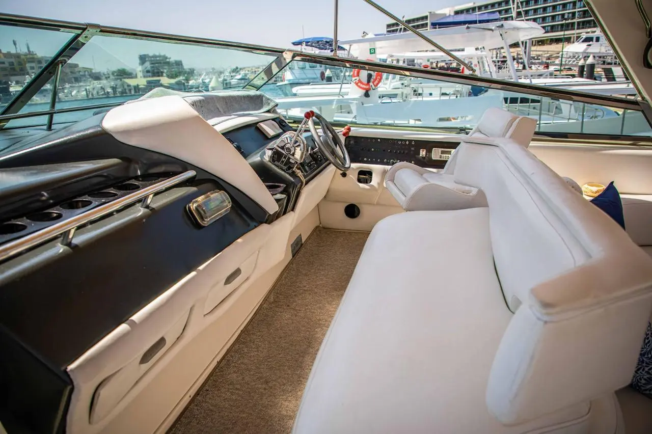 WhatsApp-Image-2026-02-03-at-9.32.27-AM